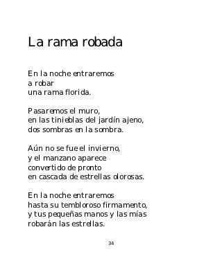 La rama robada

En la noche entraremos
a robar
una rama florida.

Pasaremos el muro,
en las tinieblas del jardín ajeno,
dos sombras en la sombra.

Aún no se fue el invierno,
y el manzano aparece
convertido de pronto
en cascada de estrellas olorosas.

En la noche entraremos
hasta su tembloroso firmamento,
y tus pequeñas manos y las mías
robarán las estrellas.

                       34
 