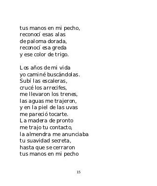 tus manos en mi pecho,
reconocí esas alas
de paloma dorada,
reconocí esa greda
y ese color de trigo.

Los años de mi vida
yo caminé buscándolas.
Subí las escaleras,
crucé los arrecifes,
me llevaron los trenes,
las aguas me trajeron,
y en la piel de las uvas
me pareció tocarte.
La madera de pronto
me trajo tu contacto,
la almendra me anunciaba
tu suavidad secreta,
hasta que se cerraron
tus manos en mi pecho


                    15
 