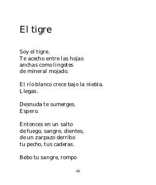 El tigre

Soy el tigre.
Te acecho entre las hojas
anchas como lingotes
de mineral mojado.

El río blanco crece bajo la niebla.
Llegas.

Desnuda te sumerges.
Espero.

Entonces en un salto
de fuego, sangre, dientes,
de un zarpazo derribo
tu pecho, tus caderas.

Bebo tu sangre, rompo

                       45
 