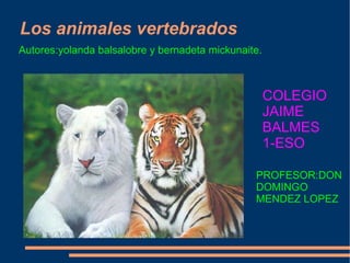 Los animales vertebrados COLEGIO JAIME BALMES 1-ESO PROFESOR:DON DOMINGO MENDEZ LOPEZ Autores:yolanda balsalobre y bernadeta mickunaite. 