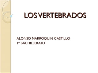 LOSVERTEBRADOSLOSVERTEBRADOS
ALONSO MARROQUIN CASTILLO
1º BACHILLERATO
 