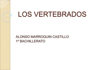 LOS VERTEBRADOS
ALONSO MARROQUIN CASTILLO
1º BACHILLERATO
 