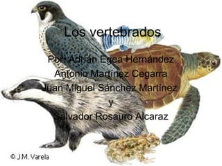 Los vertebrados
Por: Adrián Egea Hernández
Antonio Martínez Cegarra
Juan Miguel Sánchez Martínez
y
Salvador Rosauro Alcaraz
 