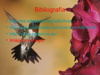 Bibliografía
• http://es.wikipedia.org/wiki/Aves
• http://www.damisela.com/zoo/ave/index.htm
• http://www.pajaricos.es/
• Imágenes google.
 