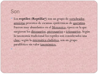 Son Los reptiles  ( Reptilia * ) son un grupo de vertebrados amniotas  provistos de escamas epidérmicas de queratina . Fueron muy abundantes en el Mesozoico , época en la que surgieron los dinosaurios , pterosaurios  e ictiosaurios . Según la taxonomía tradicional los reptiles son considerados una clase ; según la sistemática cladística , son un grupo parafilético  sin valor taxonómico. 