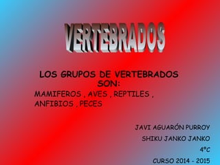 LOS GRUPOS DE VERTEBRADOS 
SON: 
MAMIFEROS , AVES , REPTILES , 
ANFIBIOS , PECES 
JAVI AGUARÓN PURROY 
SHIKU JANKO JANKO 
4ºC 
CURSO 2014 - 2015 
 