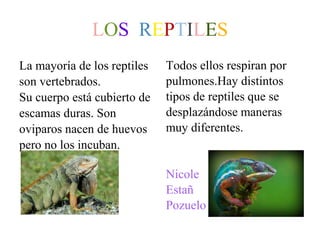 LOS REPTILES
La mayoría de los reptiles
son vertebrados.
Su cuerpo está cubierto de
escamas duras. Son
oviparos nacen de huevos
pero no los incuban.
Todos ellos respiran por
pulmones.Hay distintos
tipos de reptiles que se
desplazándose maneras
muy diferentes.
Nicole
Estañ
Pozuelo