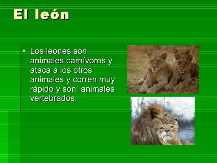 El Leon Es Vertebrado O Invertebrado es.slideshare.net