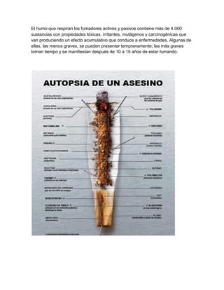 El humo que respiran los fumadores activos y pasivos contiene más de 4.000
sustancias con propiedades tóxicas, irritantes, mutágenos y carcinogénicas que
van produciendo un efecto acumulativo que conduce a enfermedades. Algunas de
ellas, las menos graves, se pueden presentar tempranamente; las más graves
toman tiempo y se manifiestan después de 10 a 15 años de estar fumando.
 