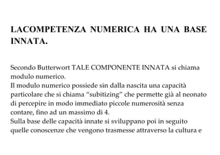 LACOMPETENZA NUMERICA HA UNA BASE
INNATA.
SecondoButterwortTALECOMPONENTEINNATAsichiama
modulonumerico.
Ilmodulonumericopossiedesindallanascitaunacapacità
particolarechesichiama“subitizing”chepermettegiàalneonato
dipercepireinmodoimmediatopiccolenumerositàsenza
contare,finoadunmassimodi4.
Sullabasedellecapacitàinnatesisviluppanopoiinseguito
quelleconoscenzechevengonotrasmesseattraversolaculturae
 