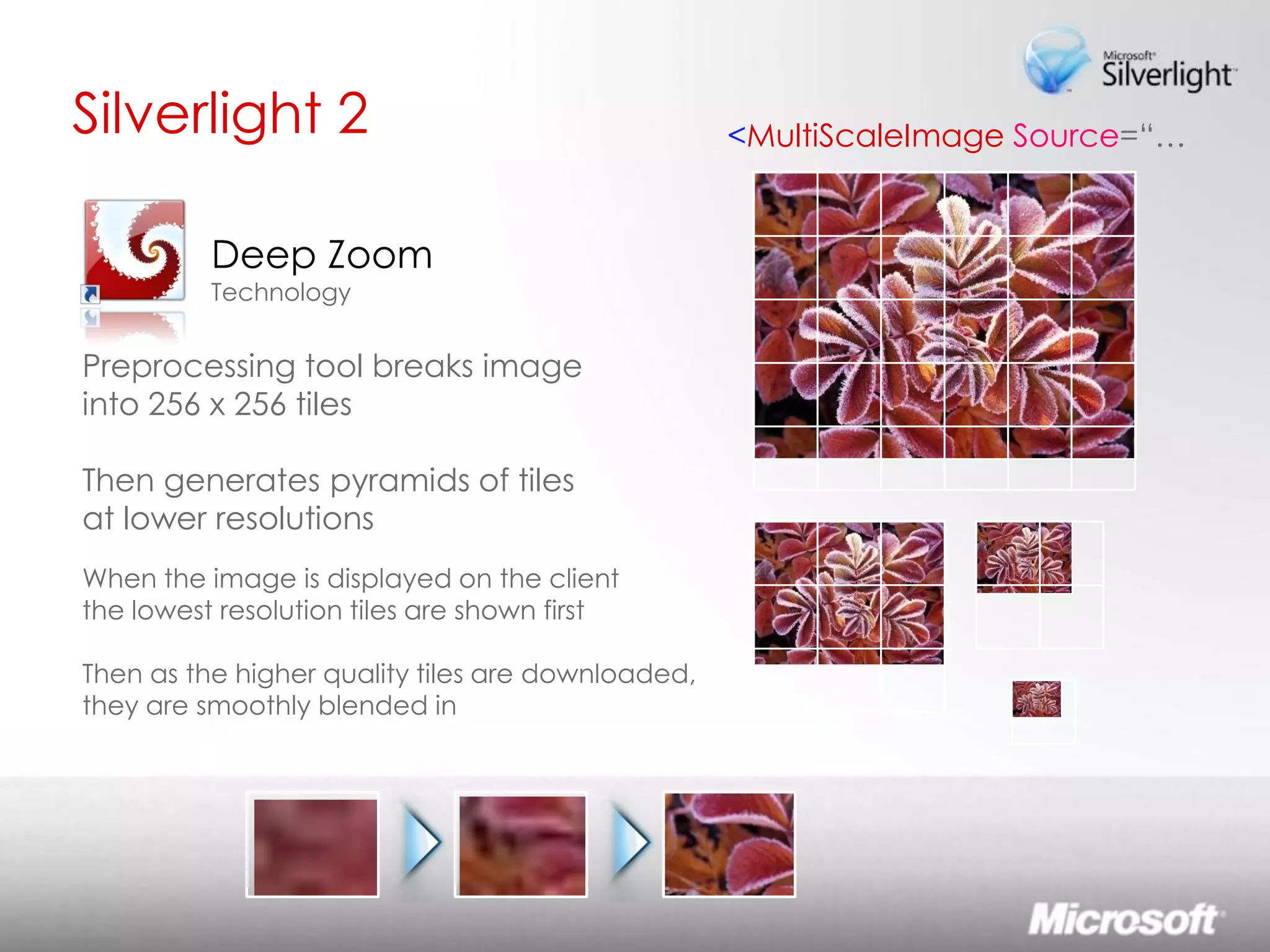 Lo sviluppo di Rich Interactive Applications Silverlight ed Expression Studio 2