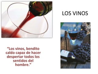 LOS VINOS “ Los vinos, bendito caldo capaz de hacer despertar todos los sentidos del hombre.” 