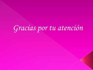 Gracias por tu atención