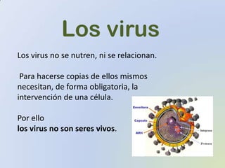 Los virus
Los virus no se nutren, ni se relacionan.

 Para hacerse copias de ellos mismos
necesitan, de forma obligatoria, la
intervención de una célula.

Por ello
los virus no son seres vivos.
 