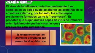 ¿Sabía que...?
El virus de la influenza muta frecuentemente. Los
cambios en su ácido nucleico alteran las proteínas de la
envoltura externa y, por lo tanto, los anticuerpos
previamente formados ya no lo "reconocen". Es
probable que surjan nuevas cepas de virus de influenza
más rápidamente que las vacunas que puedan
producirse para combatirlas.
Es necesario conocer las
diferentes estructuras que
poseen los virus, éstas son:
 