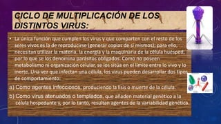 CICLO DE MULTIPLICACIÓN DE LOS
DISTINTOS VIRUS:
• La única función que cumplen los virus y que comparten con el resto de los
seres vivos es la de reproducirse (generar copias de sí mismos); para ello,
necesitan utilizar la materia, la energía y la maquinaria de la célula huésped,
por lo que se los denomina parásitos obligados. Como no poseen
metabolismo ni organización celular, se los sitúa en el límite entre lo vivo y lo
inerte. Una vez que infectan una célula, los virus pueden desarrollar dos tipos
de comportamiento:
a) Como agentes infecciosos, produciendo la lisis o muerte de la célula.
b) Como virus atenuados o templados, que añaden material genético a la
célula hospedante y, por lo tanto, resultan agentes de la variabilidad genética.
 