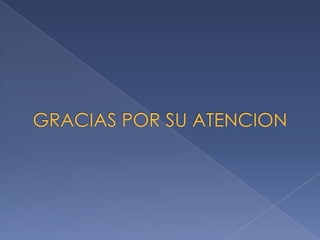 Los virus informáticos