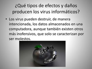 ¿Qué tipos de efectos y daños
producen los virus informáticos?
• Los virus pueden destruir, de manera
intencionada, los datos almacenados en una
computadora, aunque también existen otros
más inofensivos, que solo se caracterizan por
ser molestos.
 