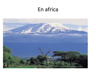 En africa
 