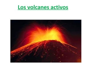 Los volcanes activos
 