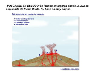 -VOLCANES EN ESCUDO:Se forman en lugares donde la lava es
expulsada de forma fluida. Su base es muy amplia.
 