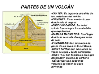 PARTES DE UN VOLCÁN
-CRÁTER: Es la puerta de salida de
los materiales del volcán.
-CHIMENEA: Es en conducto por
donde sale el magma
-CONO VOLCÁNICO: Parte del
volcán formada por los materiales
que expulsados.
-CÁMARA MAGMÁTICA: Es el lugar
donde se acumula el magma antes
de salir
-FUMAROLAS: Son emisiones de
gases de las lavas en los cráteres.
-SOLFATARAS: Son emisiones de
vapor de agua y ácido sulfhídrico.
-MOFETAS: Son fumarolas frías que
desprenden dióxido de carbono
-GÉISERES: Son pequeños
volcanes de vapor de agua
hirviendo
 