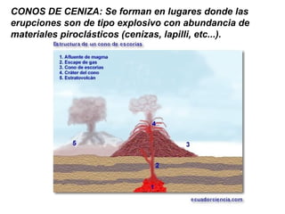 CONOS DE CENIZA: Se forman en lugares donde las
erupciones son de tipo explosivo con abundancia de
materiales piroclásticos (cenizas, lapilli, etc...).
 