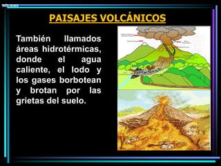 PAISAJES VOLCÁNICOS
SÓLIDASSÓLIDAS
También llamados
áreas hidrotérmicas,
donde el agua
caliente, el lodo y
los gases borbotean
y brotan por las
grietas del suelo.
 