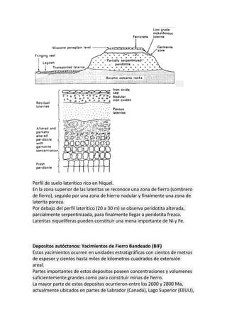 Perfil de suelo laterítico rico en Niquel.
En la zona superior de las lateritas se reconoce una zona de fierro (sombrero
de fierro), seguido por una zona de hierro nodular y finalmente una zona de
laterita poroza.
Por debajo del perfil laterítico (20 a 30 m) se observa peridotita alterada,
parcialmente serpentinizada, para finalmente llegar a peridotita frezca.
Lateritas niquelíferas pueden constituir una mena importante de Ni y Fe.
Depositos autóctonos: Yacimientos de Fierro Bandeado (BIF)
Estos yacimientos ocurren en unidades estratigráficas con cientos de metros
de espesor y cientos hasta miles de kilometros cuadrados de extensión
areal.
Partes importantes de estos depositos poseen concentraciones y volumenes
suficientemente grandes como para constituir minas de fierro.
La mayor parte de estos depositos ocurrieron entre los 2600 y 2800 Ma,
actualmente ubicados en partes de Labrador (Canadá), Lago Superior (EEUU),
 