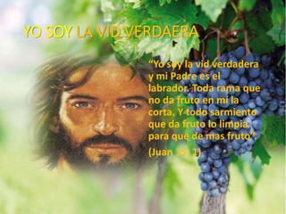 YO SOY LA VID VERDAERA
“Yo soy la vid verdadera
y mi Padre es el
labrador. Toda rama que
no da fruto en mí la
corta. Y todo sarmiento
que da fruto lo limpia
para que de mas fruto”.
(Juan 15, 1)
 
