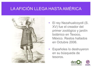 LA AFICIÓN LLEGA HASTA AMÉRICA
• El rey Nezahualcoyotl (S.
XV) fue el creador del
primer zoológico y jardín
botánico en Texoco,
México. Restos hallados
en Octubre 2006.
• Españoles lo destruyeron
en su búsqueda de
tesoros.
 