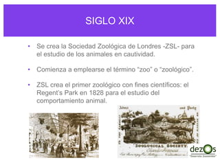 SIGLO XIX
• Se crea la Sociedad Zoológica de Londres -ZSL- para
el estudio de los animales en cautividad.
• Comienza a emplearse el término “zoo” o “zoológico”.
• ZSL crea el primer zoológico con fines científicos: el
Regent’s Park en 1828 para el estudio del
comportamiento animal.
 