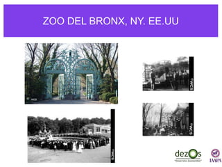 ZOO DEL BRONX, NY. EE.UU
 