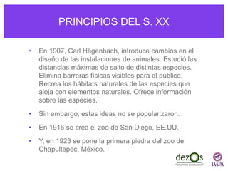 PRINCIPIOS DEL S. XX
• En 1907, Carl Hägenbach, introduce cambios en el
diseño de las instalaciones de animales. Estudió las
distancias máximas de salto de distintas especies.
Elimina barreras físicas visibles para el público.
Recrea los hábitats naturales de las especies que
aloja con elementos naturales. Ofrece información
sobre las especies.
• Sin embargo, estas ideas no se popularizaron.
• En 1916 se crea el zoo de San Diego, EE.UU.
• Y, en 1923 se pone la primera piedra del zoo de
Chapultepec, México.
 