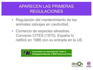 APARECEN LAS PRIMERAS
REGULACIONES
• Regulación del mantenimiento de los
animales salvajes en cautividad.
• Comercio de especies silvestres.
Convenio CITES (1975). España lo
ratificó en 1986 con su entrada en la UE.
 