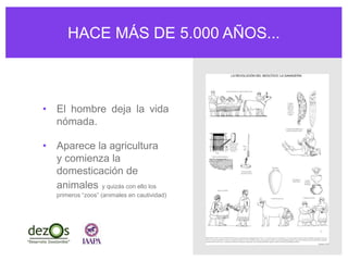 HACE MÁS DE 5.000 AÑOS...
• El hombre deja la vida
nómada.
• Aparece la agricultura
y comienza la
domesticación de
animales y quizás con ello los
primeros “zoos” (animales en cautividad)
 