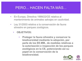 PERO... HACEN FALTA MÁS...
• En Europa, Directiva 1999/22/CE relativa al
mantenimiento de animales salvajes en cautividad.
• Ley 31/2003 relativa a la conservación de fauna
silvestre en parques zoológicos.
• OBJETIVOS:
• Proteger la fauna silvestre y conservar la
biodiversidad mediante la adopción, por
parte de los EE.MM., de medidas relativas a
la autorización e inspección de los parques
zoológicos en la CE, potenciando así su
papel en la conservación de la
biodiversidad.
 