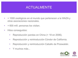 ACTUALMENTE
• + 1000 zoológicos en el mundo que pertenecen a la WAZA y
otras asociaciones nacionales.
• + 600 mill. personas los visitan.
• Hitos conseguidos:
• Reproducción pandas en China (+ 18 en 2006).
• Reproducción y reintroducción Cóndor de California.
• Reproducción y reintroducción Caballo de Przewalski.
• Y muchos más...
 