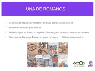 UNA DE ROMANOS...
• Continúan la tradición de mantener animales salvajes en cautividad.
• El objetivo: animales para el circo.
• Primeros tigres en Roma, un regalo a César Augusto, acabaron muertos en la arena.
• Conquista de Dacia por Trajano: 4 meses de juegos, 11.000 animales muertos.
 