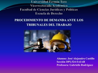 PROCEDIMIENTO DE DEMANDA ANTE LOS
TRIBUNALES DEL TRABAJO
Alumno: José Alejandro Castillo
Sección DPL524-SAIAB
Profesora: Gabrielis Rodríguez
 