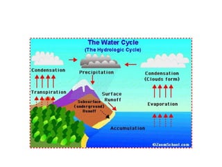 Lotd watercycle