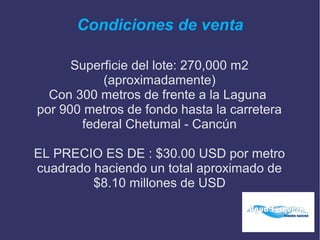Condiciones de venta
Superficie del lote: 270,000 m2
(aproximadamente)
Con 300 metros de frente a la Laguna
por 900 metros de fondo hasta la carretera
federal Chetumal - Cancún
EL PRECIO ES DE : $30.00 USD por metro
cuadrado haciendo un total aproximado de
$8.10 millones de USD
 