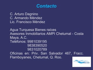 Contacto
C. Arturo Dagnino
C. Armando Méndez
Lic. Francisco Méndez
Agua Turquesa Bienes raíces
Asesores Inmobiliarios AMPI Chetumal - Costa
Maya, A.C.
Teléfonos: 9981039195
9838390520
9831020789
Oficinas en: Priv. San Salvador 467, Fracc.
Flamboyanes, Chetumal, Q. Roo.
 