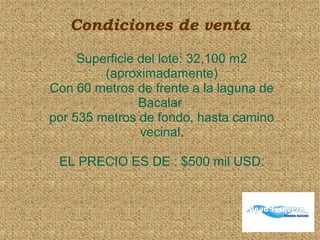 Condiciones de venta
Superficie del lote: 32,100 m2
(aproximadamente)
Con 60 metros de frente a la laguna de
Bacalar
por 535 metros de fondo, hasta camino
vecinal.
EL PRECIO ES DE : $500 mil USD.
 