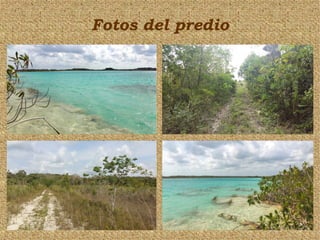 Fotos del predio
 