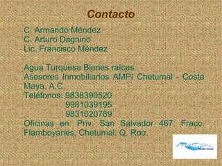 Contacto
C. Armando Méndez
C. Arturo Dagnino
Lic. Francisco Méndez
Agua Turquesa Bienes raíces
Asesores Inmobiliarios AMPI Chetumal - Costa
Maya, A.C.
Teléfonos: 9838390520
9981039195
9831020789
Oficinas en: Priv. San Salvador 467, Fracc.
Flamboyanes, Chetumal, Q. Roo.
 