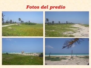 Fotos del predio
 