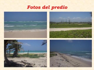 Fotos del predio
 