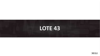 LOTE 43 
 