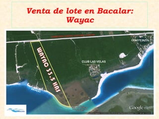 Venta de lote en Bacalar:
Wayac
 